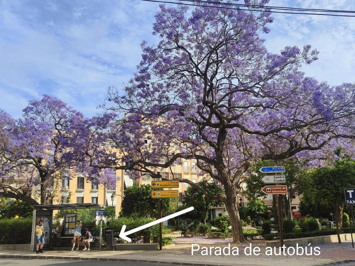 Apartament M&D Centro Malaga Zewnętrze zdjęcie